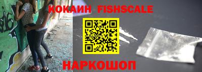 крисы Новокубанск