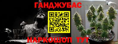 крисы Новокубанск