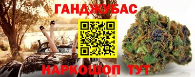 крисы Новокубанск
