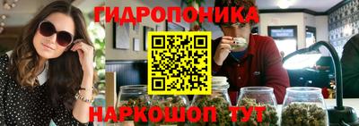 гашиш Новодвинск