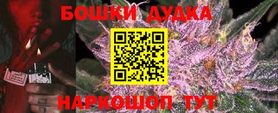 крисы Новокубанск