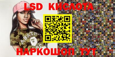 крисы Новокубанск