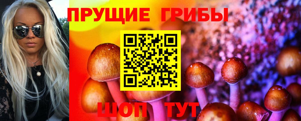 Галлюциногенные грибы мицелий Туапсе